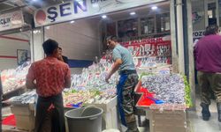 Ulus Hali'nde tezgahlar kuruldu: İşte Ankara'daki güncel balık fiyatları