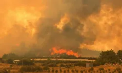 Antalya’da yangınla mücadelede acı bilanço: Bir kişi hayatını kaybetti
