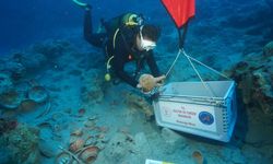 Antalya'da 2 bin 100 yıllık batık! Binlerce eser çıkarıldı