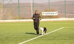 Afetlerin gizli kahramanları! Enkazda böyle iz sürüyorlar