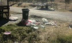 Ankara’da pes dedirten görüntü! Piknik alanını böyle terk ettiler
