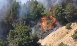 Balıkesir'de korkutan yangın! Alevler ormana sıçradı