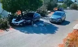 İki köpeğin üzerinden geçip arkasına bakmadan yoluna devam etti!