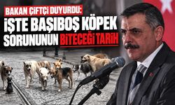 Bakan Çiftçi duyurdu: İşte başıboş köpek sorununun biteceği tarih