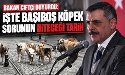 Bakan Çiftçi duyurdu: İşte başıboş köpek sorununun biteceği tarih