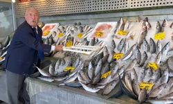 Balık tezgahlarında bolluk başladı, fiyatlar dikkat çekti