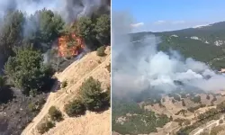 Balıkesir'de alevler ormana sıçradı! Ekipler bölgede