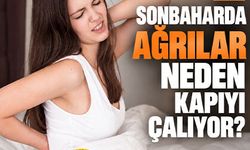 Boyun, bel, diz… Sonbaharda ağrılar neden kapıyı çalıyor?