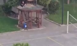 Çardağın çatısını parçalayıp yere attılar: O anlar kamerada