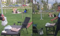 Sahilde çekirdek çitledi! Cezası ağızları açık bıraktı