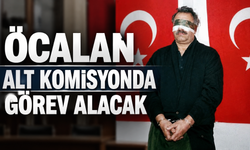 Cumhurbaşkanı Başdanışmanı Uçum'dan kritik 'Öcalan' açıklaması: "Silahsızlanma Komisyonu'nda görev alacak"