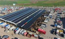 Çubuk’ta şap alarmı! Canlı Hayvan Pazarı en az 30 gün kapalı