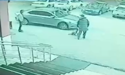Palandöken Kaymakamı hakkında suç duyurusu: “Köpeğe tekme attı, koruması silah doğrulttu”