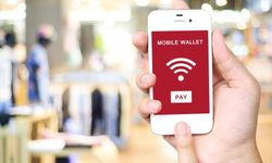 Elektronik para şirketinin lisansı iptal edilirse hesaptaki para ne olur?