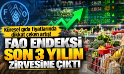 Küresel gıda fiyatlarında dikkat çeken artış! FAO endeksi son 3 yılın zirvesine çıktı