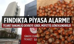 Fındık piyasasına sıkı denetim! Ticaret Bakanlığı, Ordu ve Giresun'da müfettiş görevlendirdi