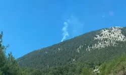 Fethiye’de orman yangını! Havadan müdahale başladı