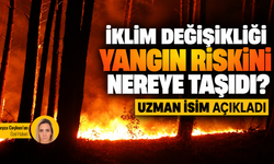 İklim değişikliği yangın riskini nereye taşıdı? Uzman isim açıkladı