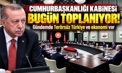 Cumhurbaşkanlığı Kabinesi bugün toplanıyor! Gündemde Terörsüz Türkiye ve ekonomi var