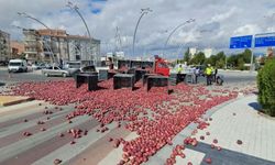 Karaman’da tonlarca elma yola saçıldı! Yol kapandı