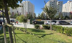 Komşu esnafların "su" kavgası parkta kanlı bitti!