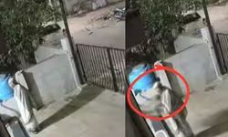 Maymunun saldırısına uğrayan yaşlı kadın hayatını kaybetti! O anlar kameraya yansıdı