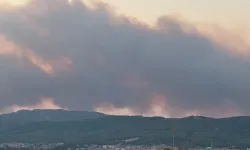 Muğla'da orman yangını! Alevlere havadan ve karadan müdahale ediliyor