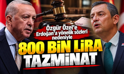 Özgür Özel’e Erdoğan’a yönelik sözleri nedeniyle 800 bin lira tazminat