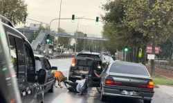 Sabah koşusu kabusa döndü! Köpek ayağından ısırdı