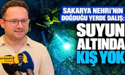 Sakarya Nehri'nin doğduğu yerde dalış: Suyun altında kış yok