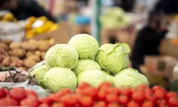 Azerbaycan bu ürünlerden milyonlarca dolar kazandı