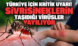 Türkiye için kritik uyarı! Sivrisineklerin taşıdığı virüsler yayılıyor