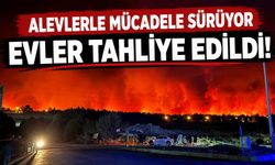 Antalya ve Adana'da alevlerle mücadele sürüyor! Evler tahliye edildi