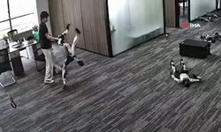 Robot, geliştiricisine tekme attı! O anlar kamerada