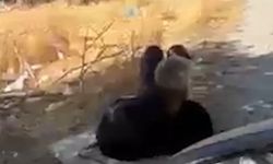 Elazığ’da akılalmaz olay! Yaşlı adamı eşi ağaca zincirledi