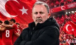 A Milli Futbol Takımı'nın yeni teknik direktörü Sergen Yalçın oldu