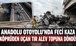 Anadolu Otoyolu'nda feci kaza: Köprüden uçan tır alev topuna döndü
