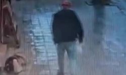 Avcılar’da köpeğe tekme attı, ısırılınca hastanelik oldu!