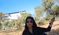 Başkasının tarlasındaki zeytin ağacının altına oturdu, yaşadıklarına isyan etti