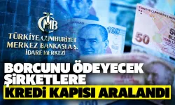 Borcunu ödeyecek şirketlere kredi kapısı aralandı