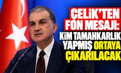 Çelik'ten fon mesajı: Kim tamahkarlık yapmış ortaya çıkarılacak