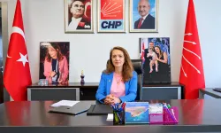 CHP’li İlgezdi’den uzaktan muayene çıkışı: Hekimlerin sorumluluğu ne olacak?