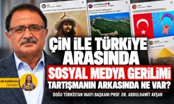 Çin ile Türkiye arasında sosyal medya gerilimi: Tartışmanın arkasında ne var?