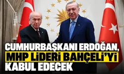 Cumhurbaşkanı Erdoğan, MHP lideri Bahçeli'yi kabul edecek