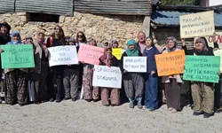 Doğanyurt’ta maden projesine tepki: Fosillerden su kaynaklarına risk