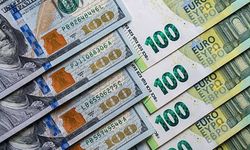3,6 trilyon euroluk borç yükü: Ortak para dolara karşı geriledi