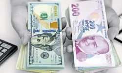 Türk Lirası'nda reel değerlenme sürüyor: Gözler 22 Ekim faiz kararında
