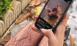 Estetik fotoğraf için sokaktaki yaprakları kullandı!
