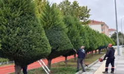 Etimesgut Belediyesi'nden sonbahar mesaisi: Parklar yenileniyor