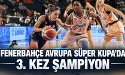 ÇİMSA ÇBK Mersin: 71 - Fenerbahçe Tarfin: 79 | Maç sonucu